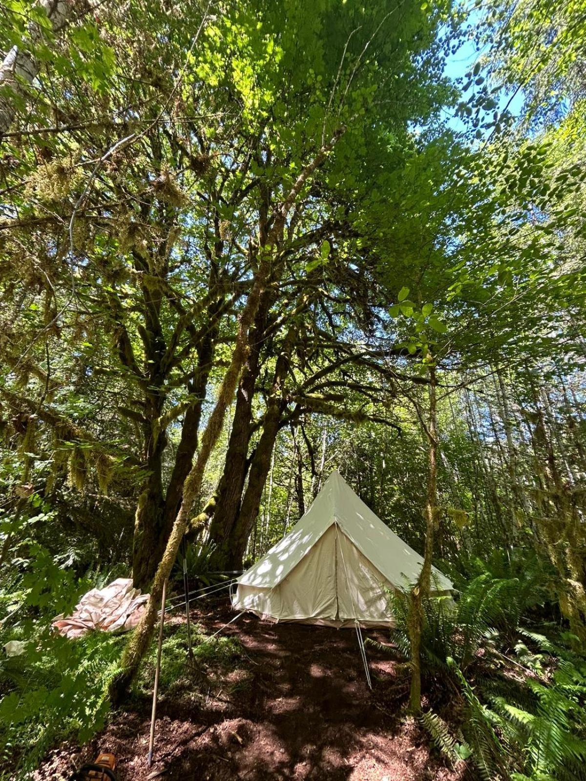 Olympic Glamping Hotel Порт Анджелес Екстериор снимка